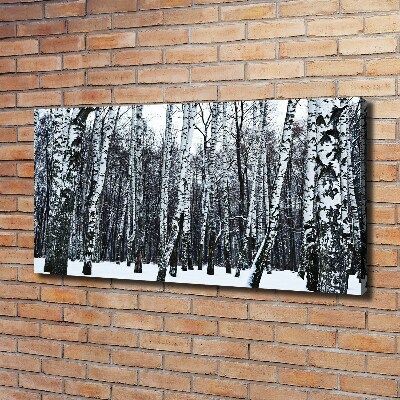 Tableau mural sur toile Bouleaux en hiver