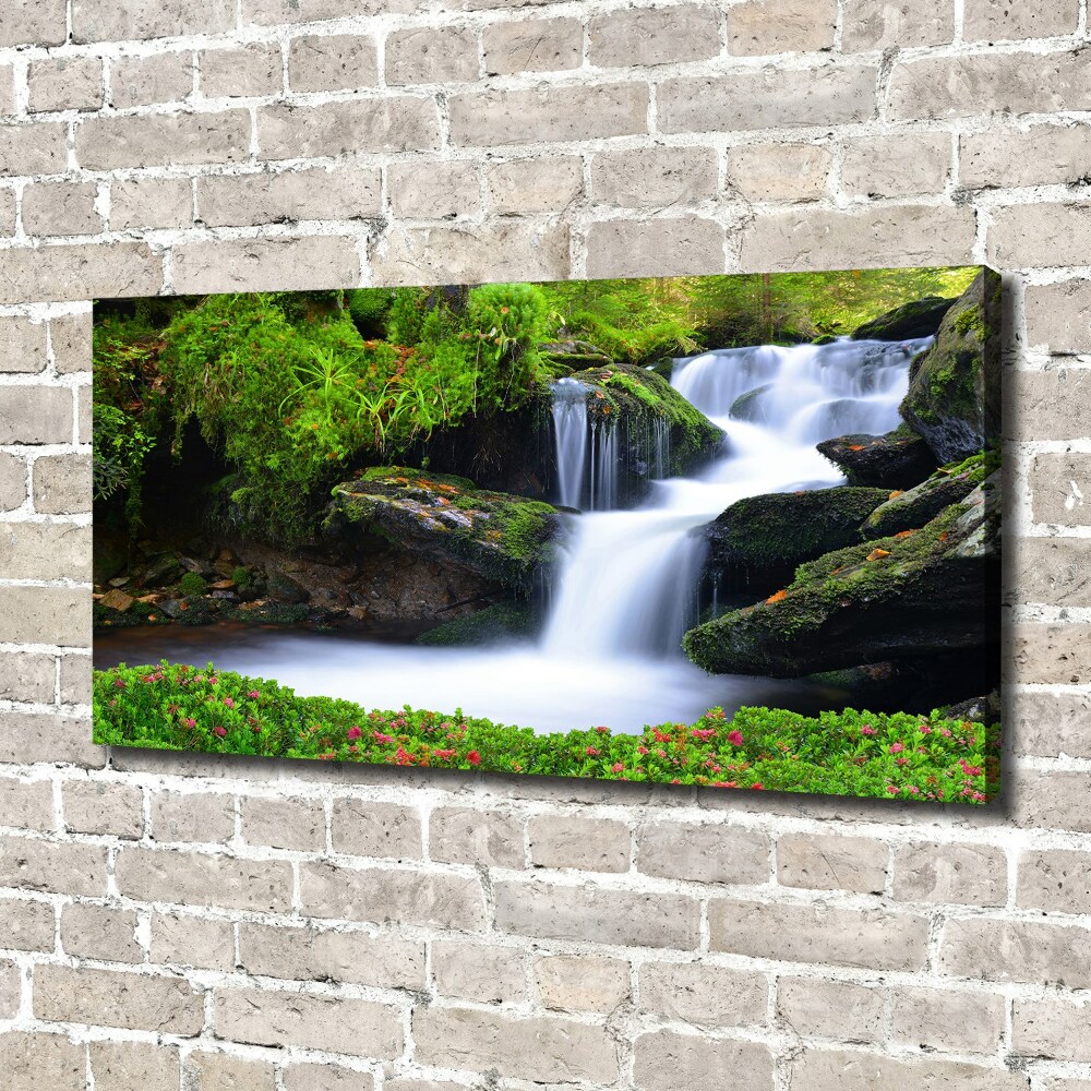 Tableau imprimé sur toile Chute d'eau dans la forêt