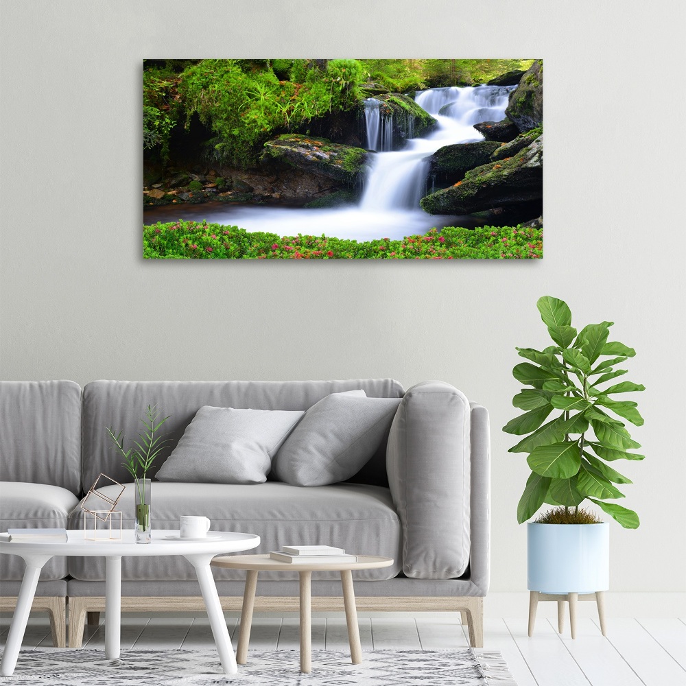 Tableau imprimé sur toile Chute d'eau dans la forêt