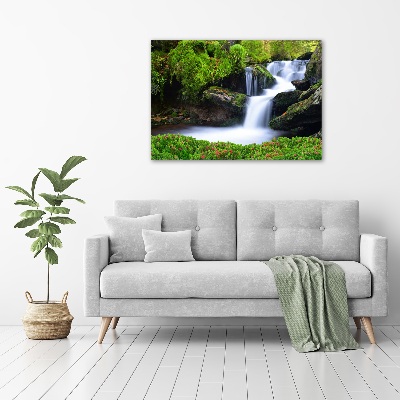 Tableau imprimé sur toile Chute d'eau dans la forêt