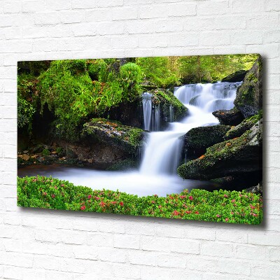 Tableau imprimé sur toile Chute d'eau dans la forêt