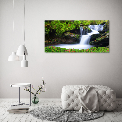 Tableau imprimé sur toile Chute d'eau dans la forêt