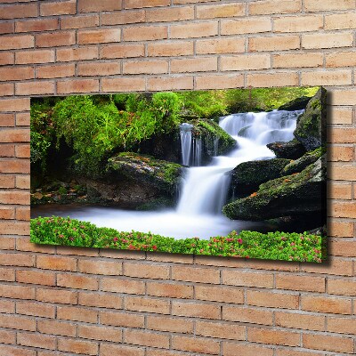 Tableau imprimé sur toile Chute d'eau dans la forêt