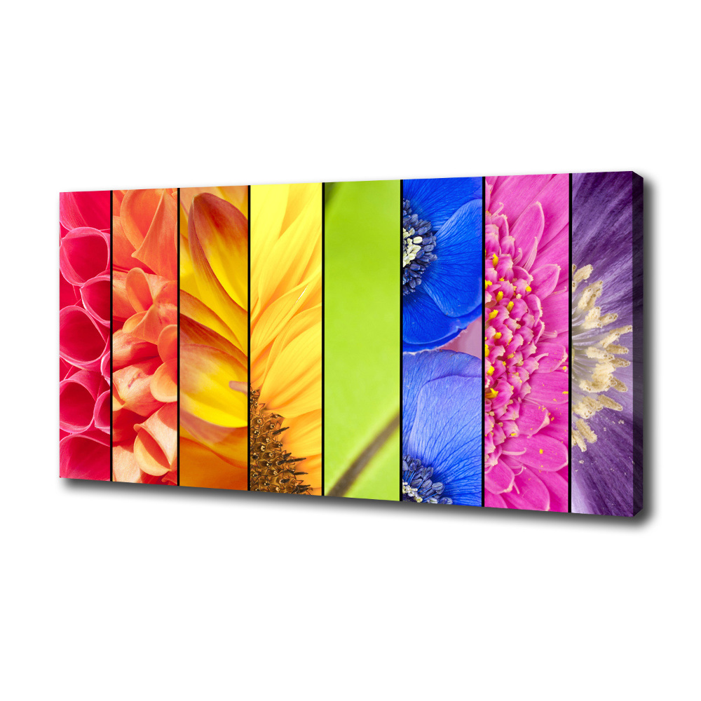 Tableau imprimé sur toile Fleurs colorées