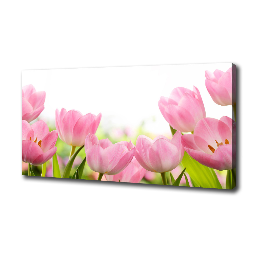 Tableau sur toile Tulipes roses