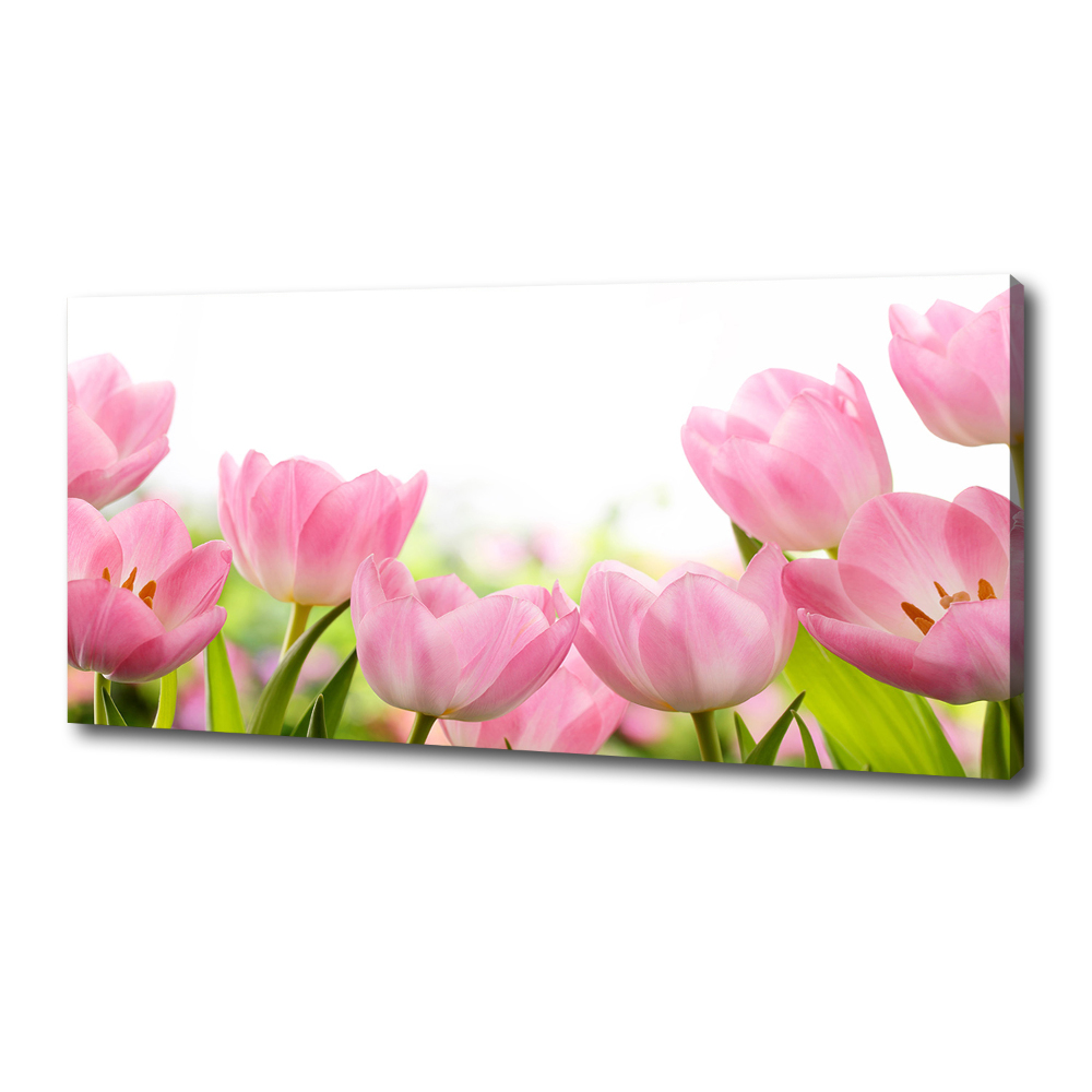 Tableau sur toile Tulipes roses