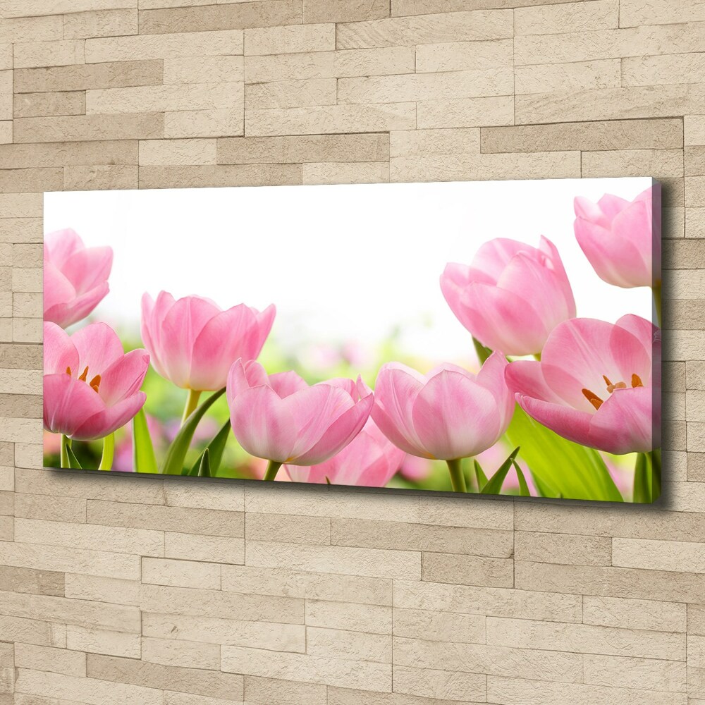 Tableau sur toile Tulipes roses