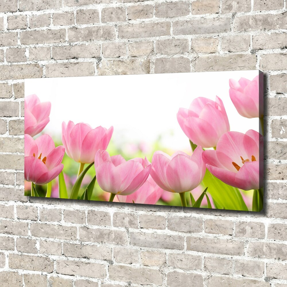 Tableau sur toile Tulipes roses