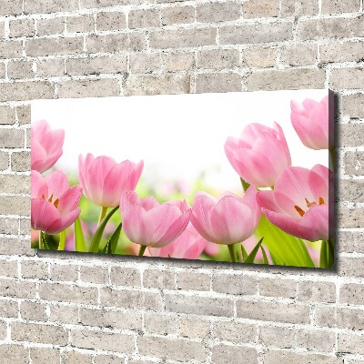 Tableau sur toile Tulipes roses