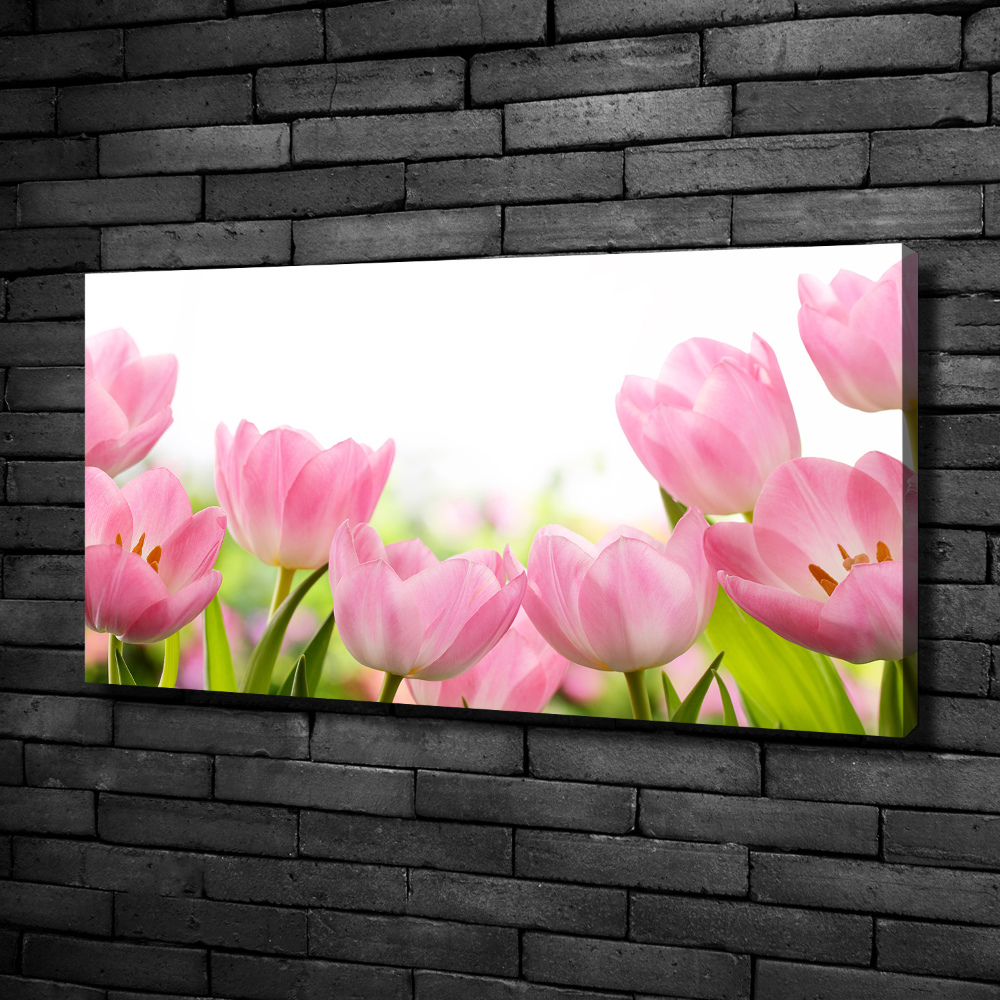 Tableau sur toile Tulipes roses