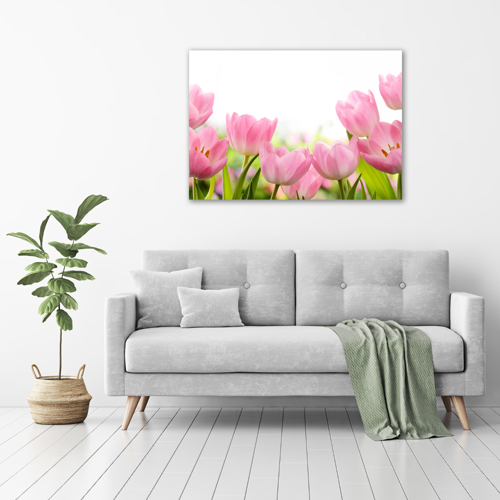 Tableau sur toile Tulipes roses