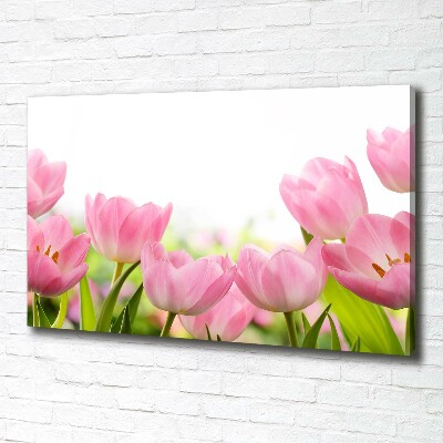 Tableau sur toile Tulipes roses