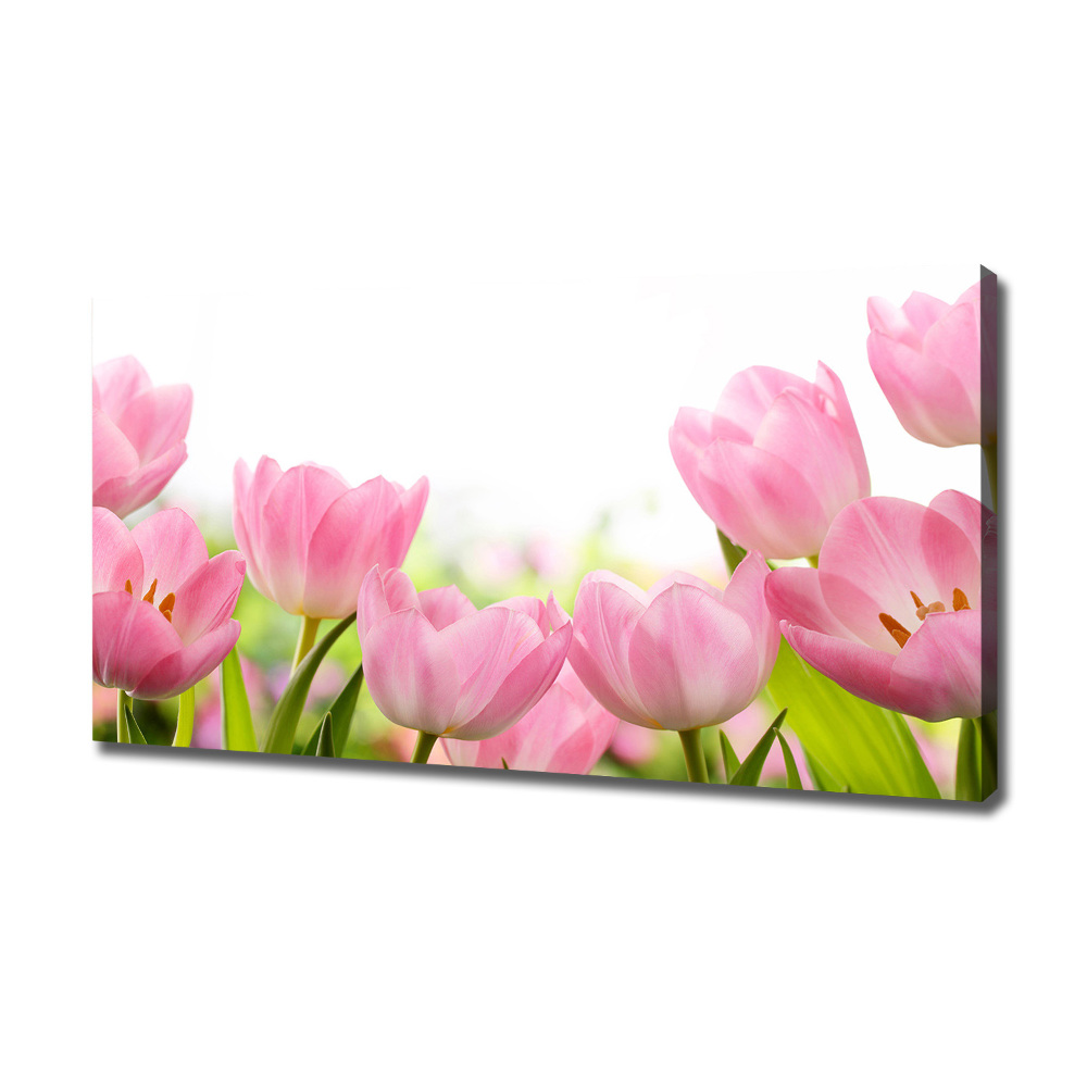 Tableau sur toile Tulipes roses