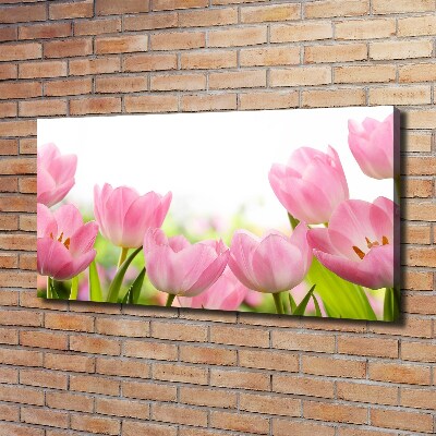 Tableau sur toile Tulipes roses