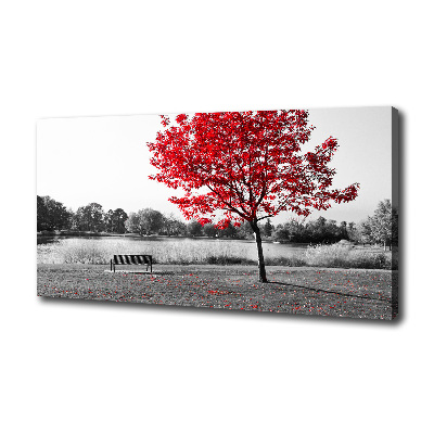 Tableau sur toile Arbre rouge