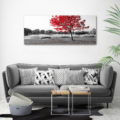 Tableau sur toile Arbre rouge