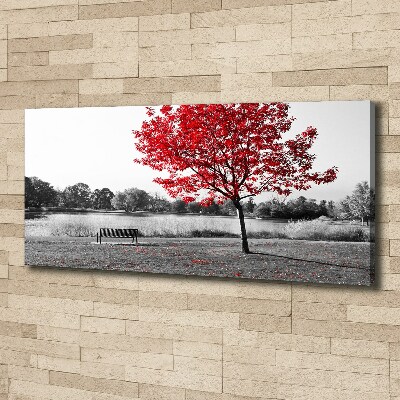 Tableau sur toile Arbre rouge