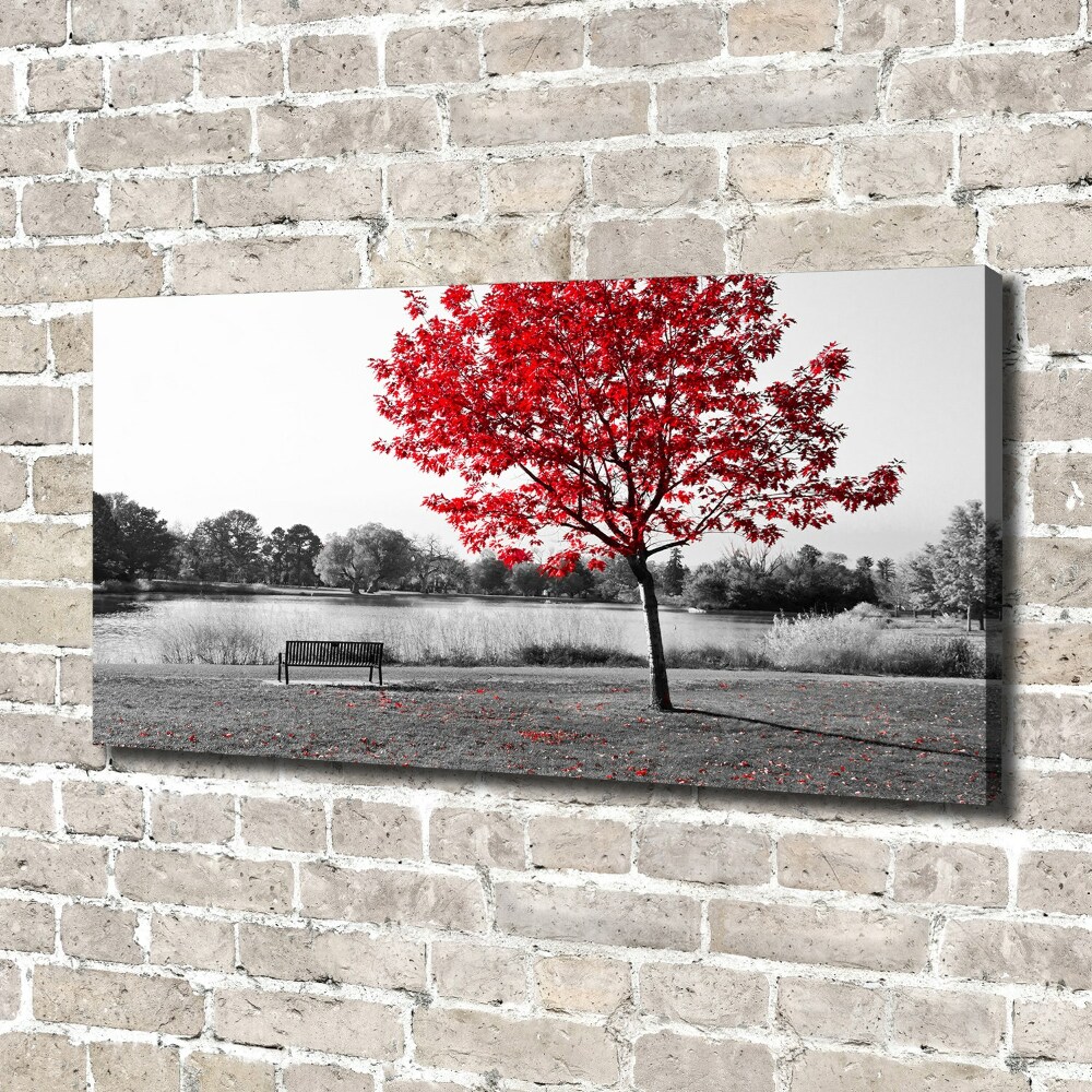 Tableau sur toile Arbre rouge