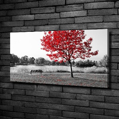 Tableau sur toile Arbre rouge