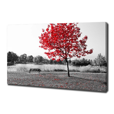 Tableau sur toile Arbre rouge