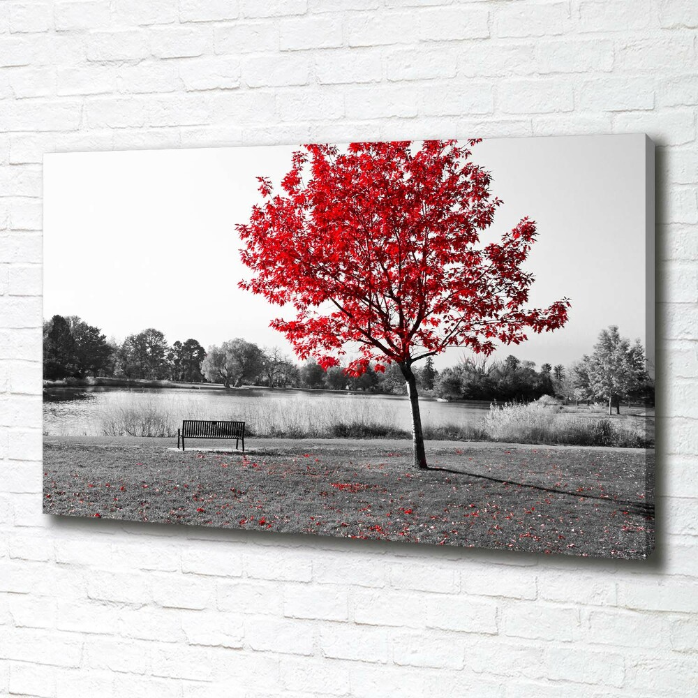 Tableau sur toile Arbre rouge