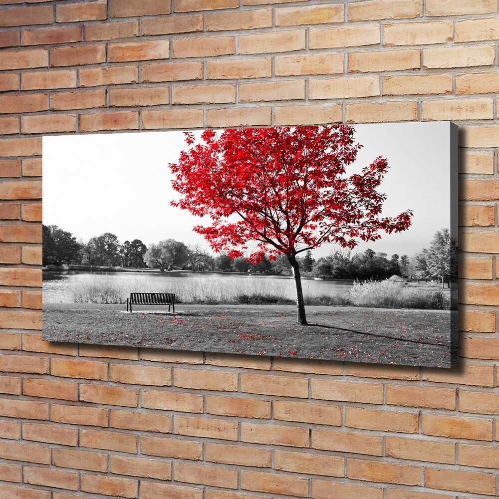 Tableau sur toile Arbre rouge