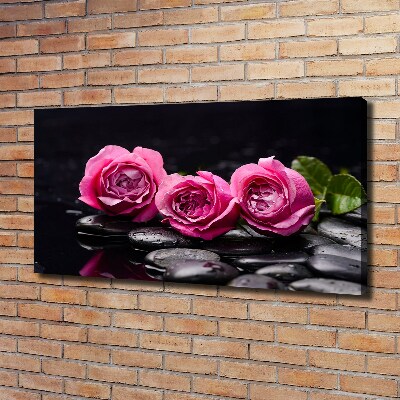 Tableau imprimé sur toile Roses roses