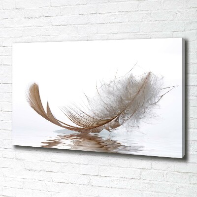 Tableau sur toile Plume sur l'eau