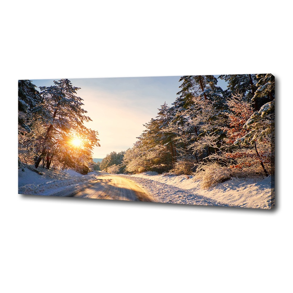 Tableau sur toile Route dans la forêt en hiver