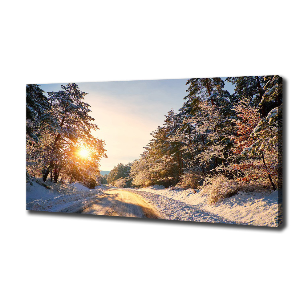 Tableau sur toile Route dans la forêt en hiver