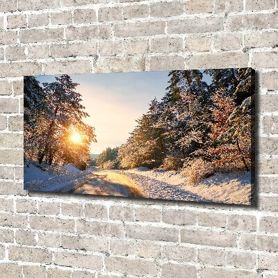 Tableau sur toile Route dans la forêt en hiver