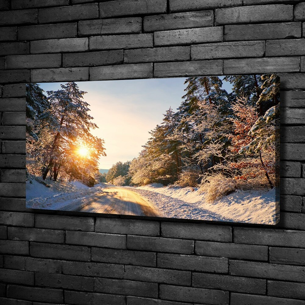 Tableau sur toile Route dans la forêt en hiver