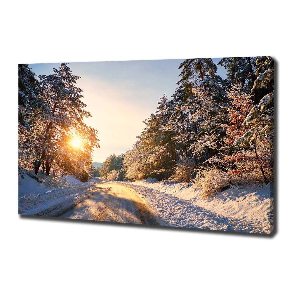 Tableau sur toile Route dans la forêt en hiver