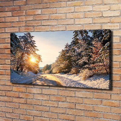 Tableau sur toile Route dans la forêt en hiver