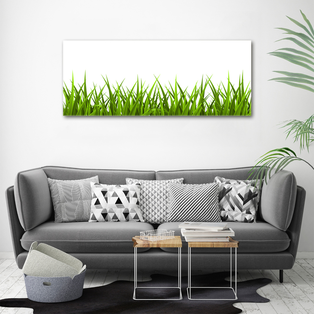 Tableau imprimé sur toile Herbe