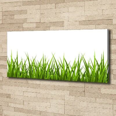 Tableau imprimé sur toile Herbe