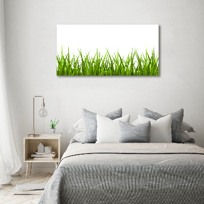 Tableau imprimé sur toile Herbe