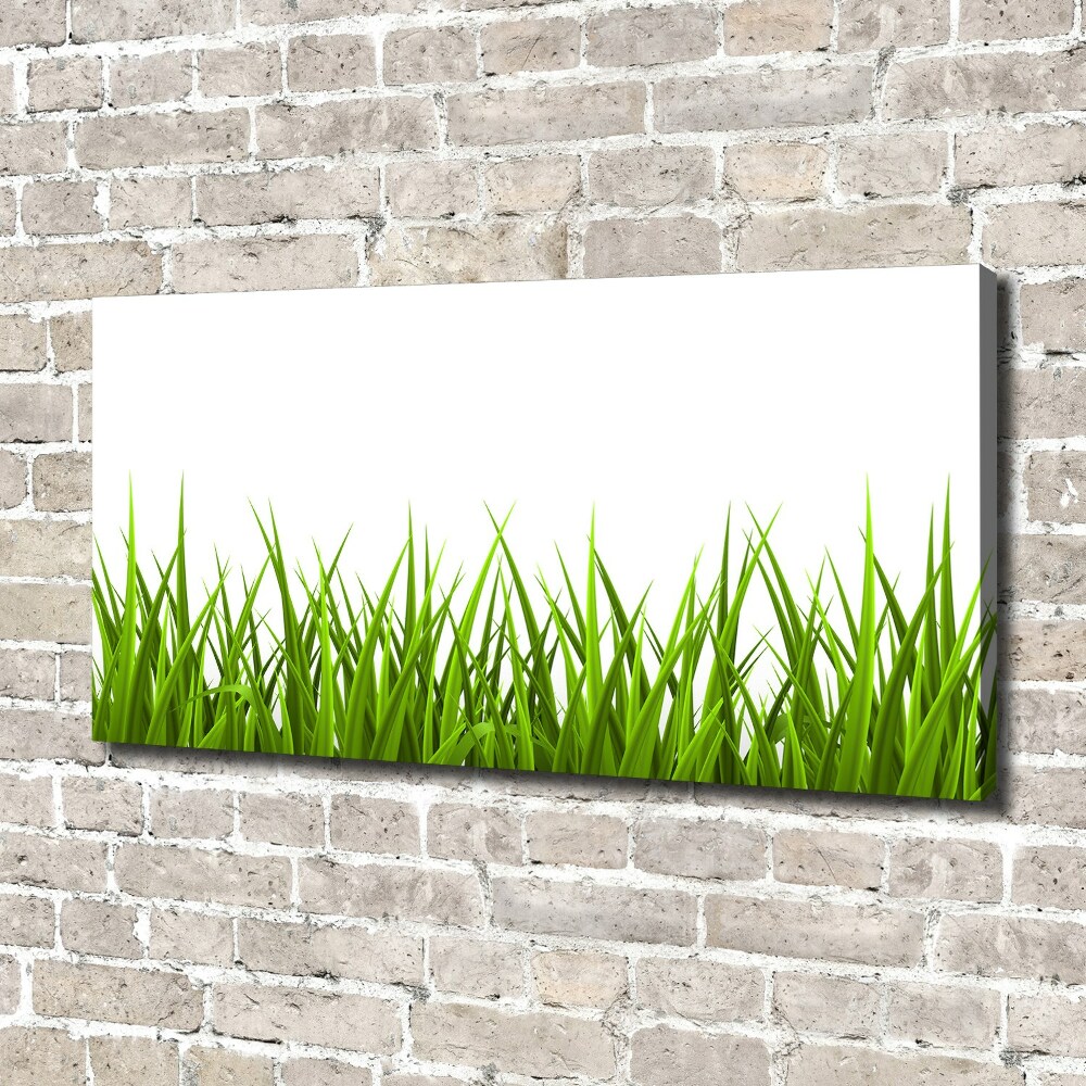 Tableau imprimé sur toile Herbe