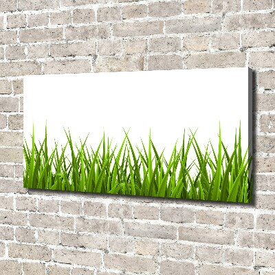 Tableau imprimé sur toile Herbe