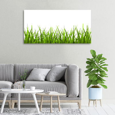 Tableau imprimé sur toile Herbe