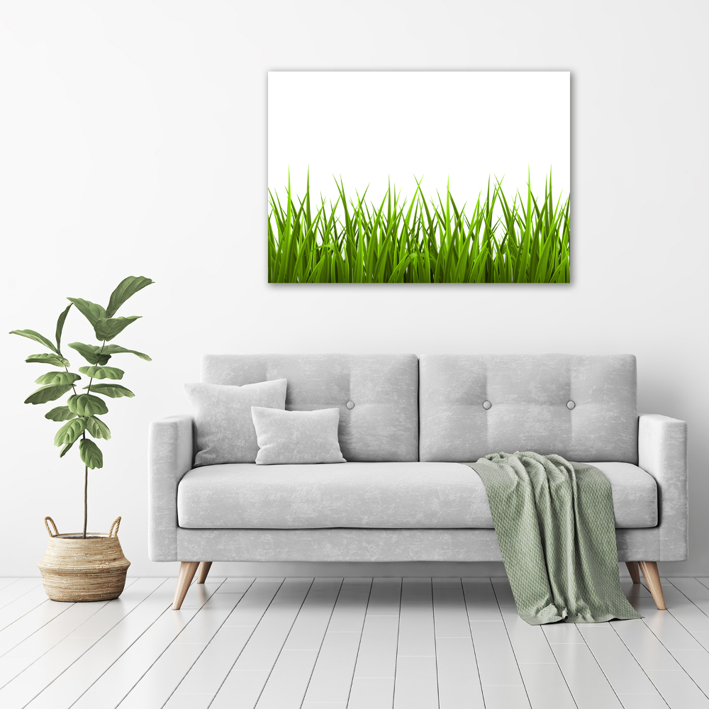 Tableau imprimé sur toile Herbe