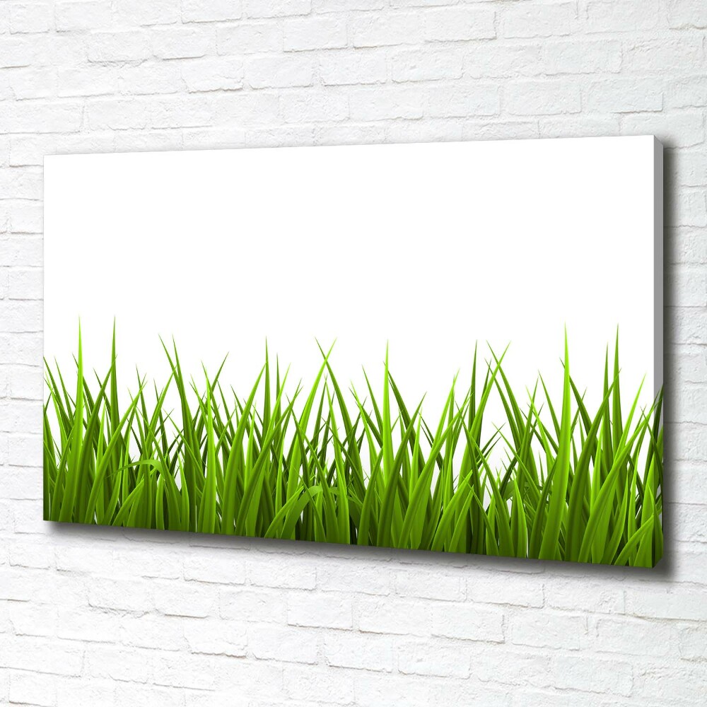 Tableau imprimé sur toile Herbe