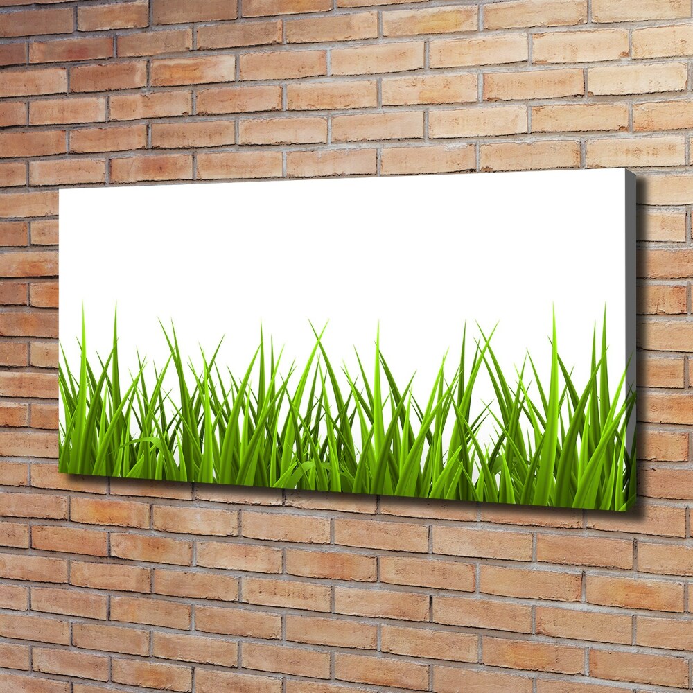 Tableau imprimé sur toile Herbe