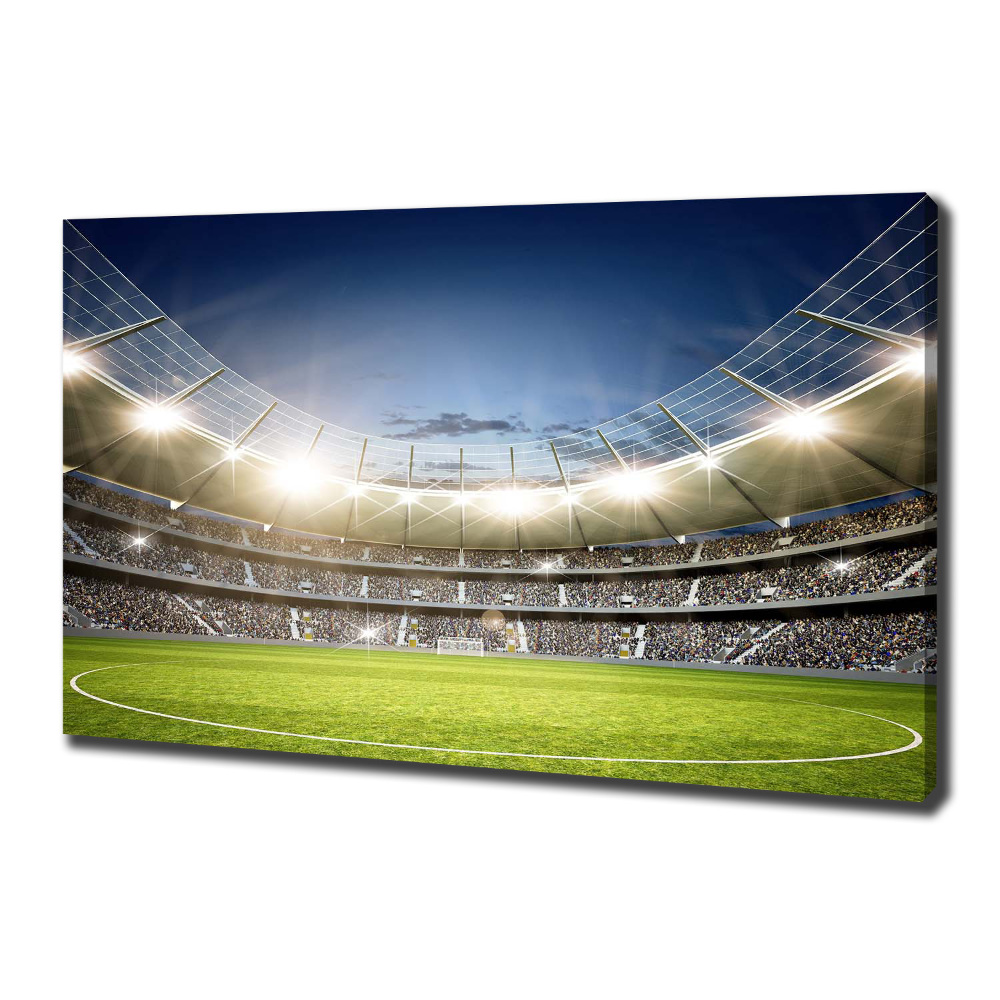 Tableau mural sur toile Stade