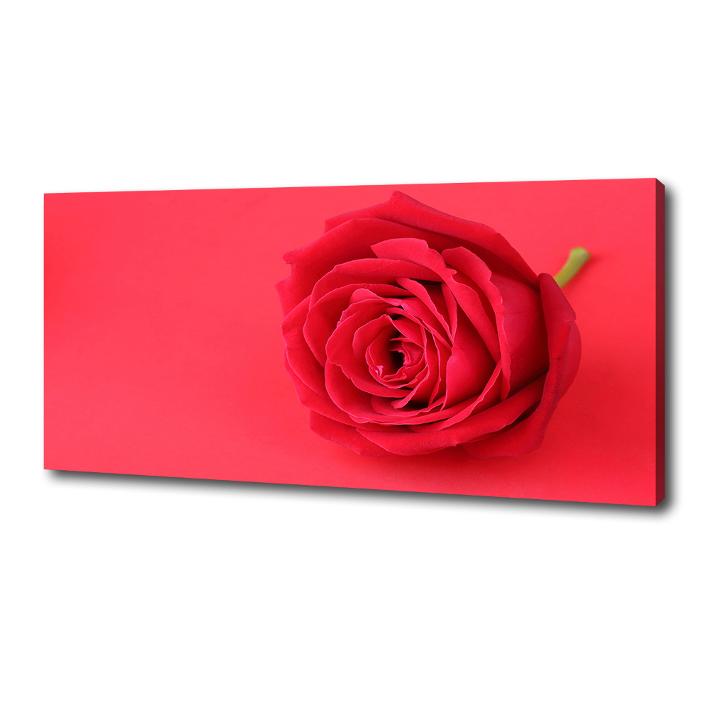 Tableau imprimé sur toile Rose rouge