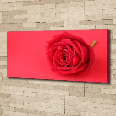 Tableau imprimé sur toile Rose rouge