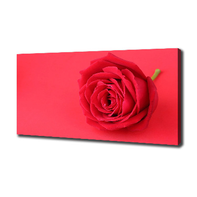 Tableau imprimé sur toile Rose rouge