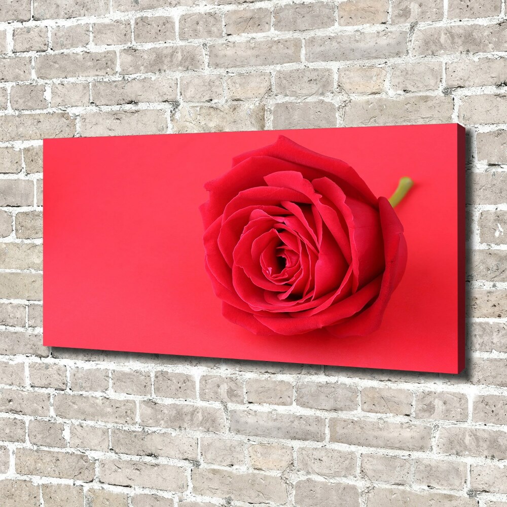 Tableau imprimé sur toile Rose rouge