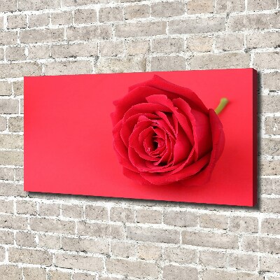 Tableau imprimé sur toile Rose rouge