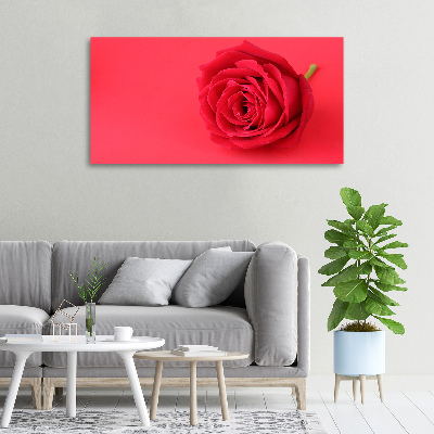 Tableau imprimé sur toile Rose rouge